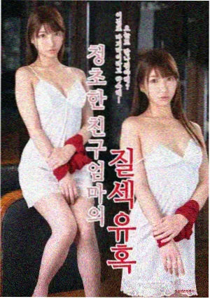 海底小纵队第三季全集免费